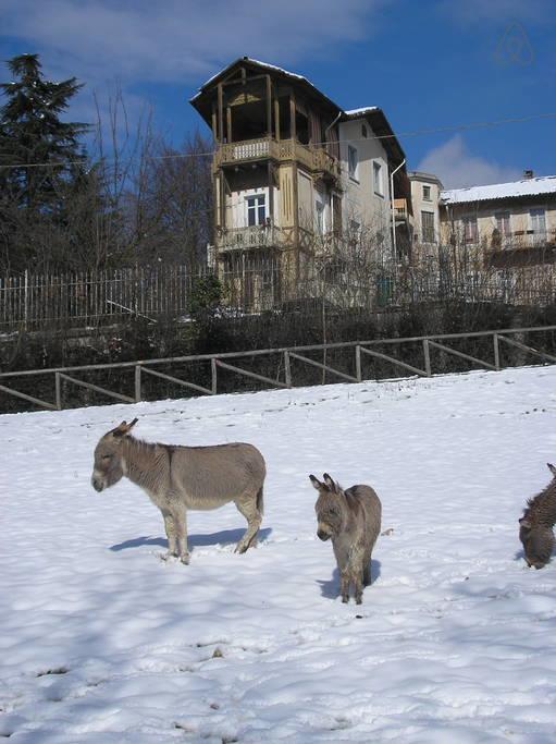 Del Nobile Apartment Turin Luaran gambar